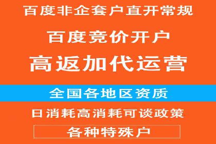 某公司信息流广告的精准投放与效果评估